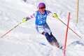 SL - 1. Lauf